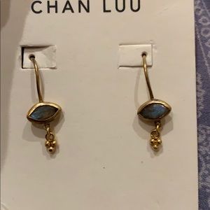 Chan Luu Moonstone Earrings